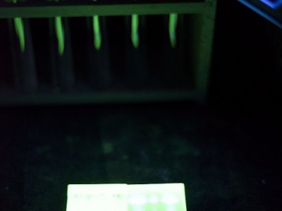 Qualitativer Nachweis von Teer/Bitumen durch Dünnschichtchromatographie mit Fluoreszensanalyse